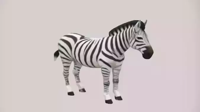 Standing zebra with stripes