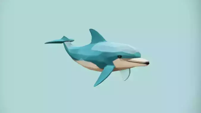 polygonal dolphin model