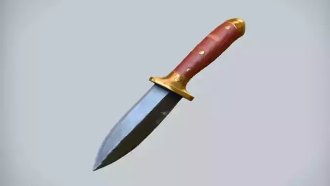 dagger with wooden handle