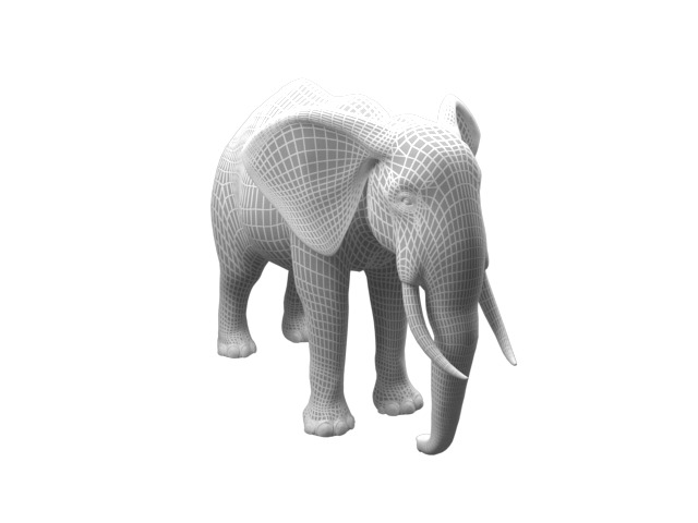 realistic Rigged Elephant  3D model_6