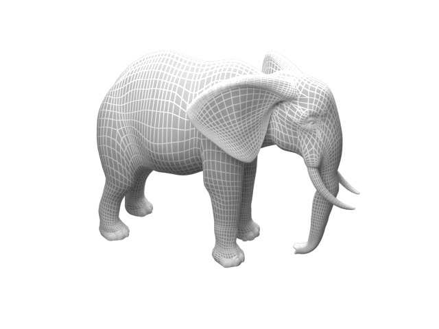 realistic Rigged Elephant  3D model_5