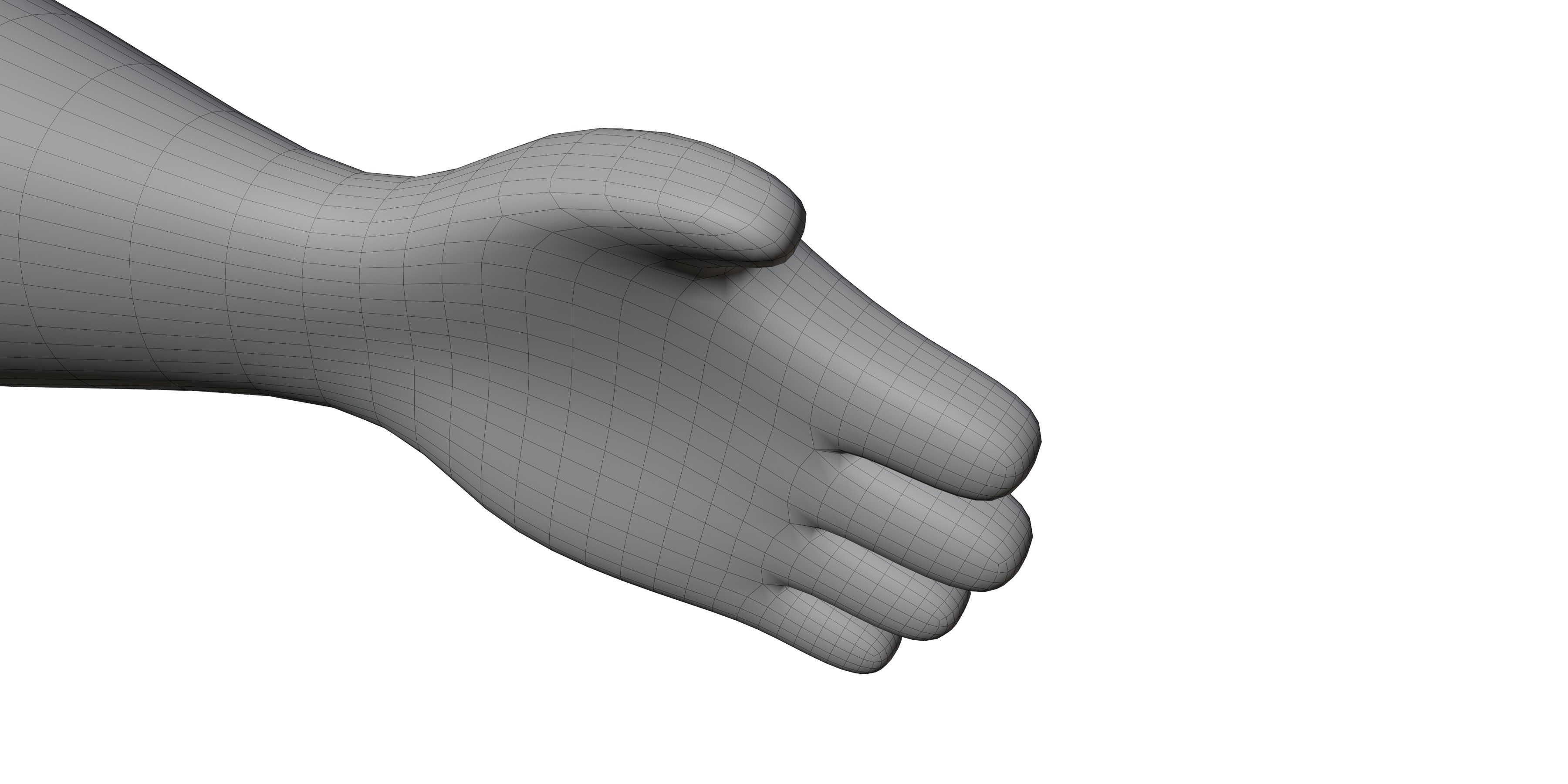 cartoon fox 3D model_13