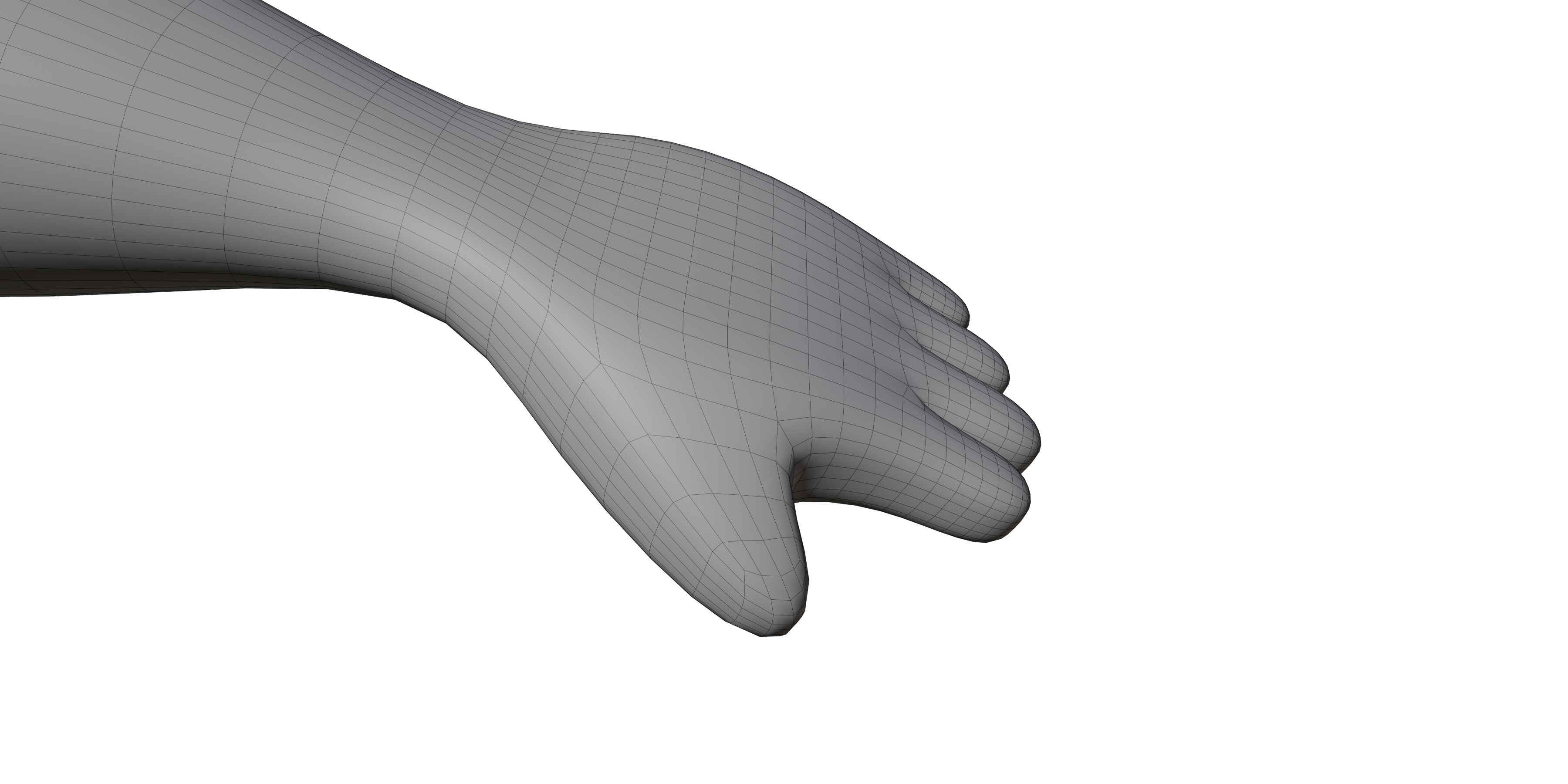 cartoon fox 3D model_12