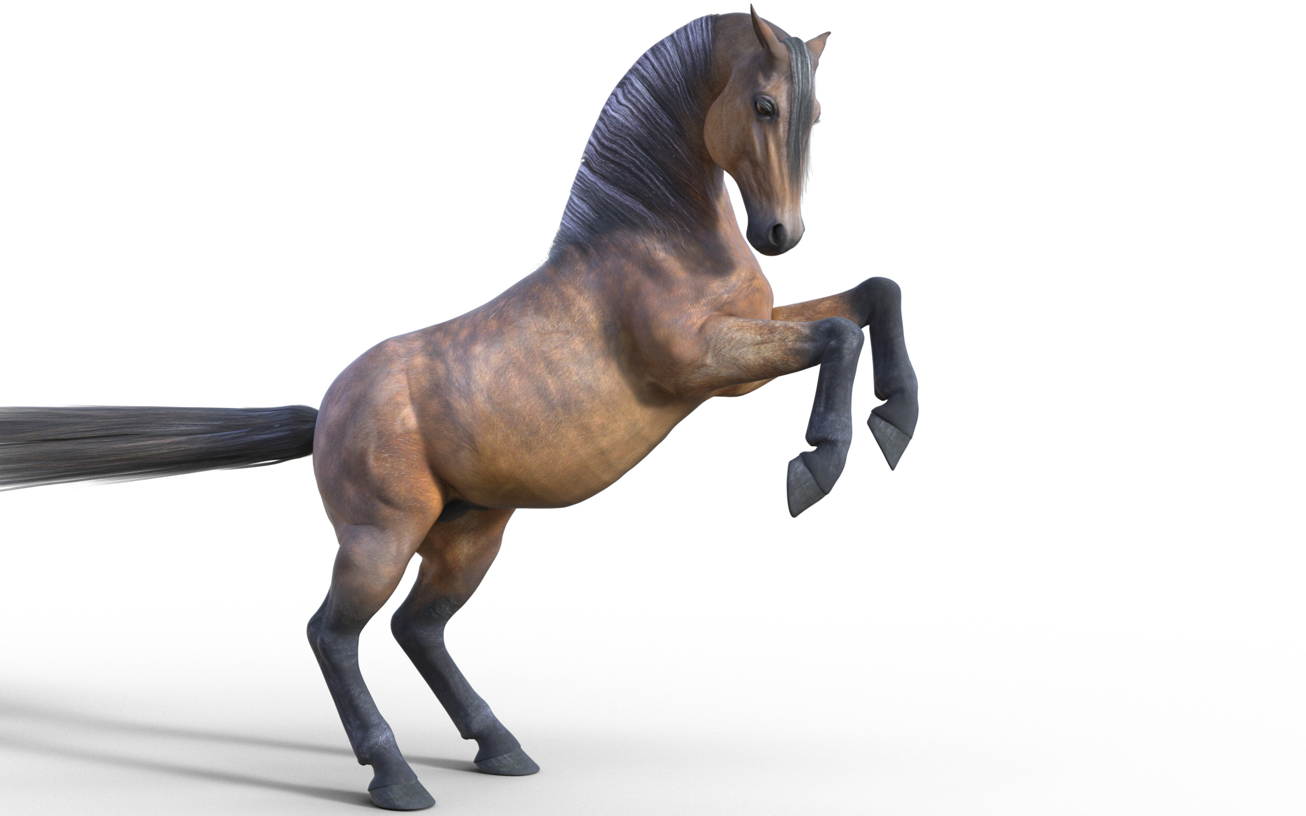 Realistic Rigged Horse  3D model_1