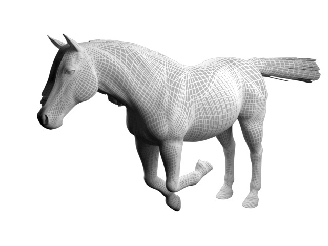 Realistic Rigged Horse  3D model_8