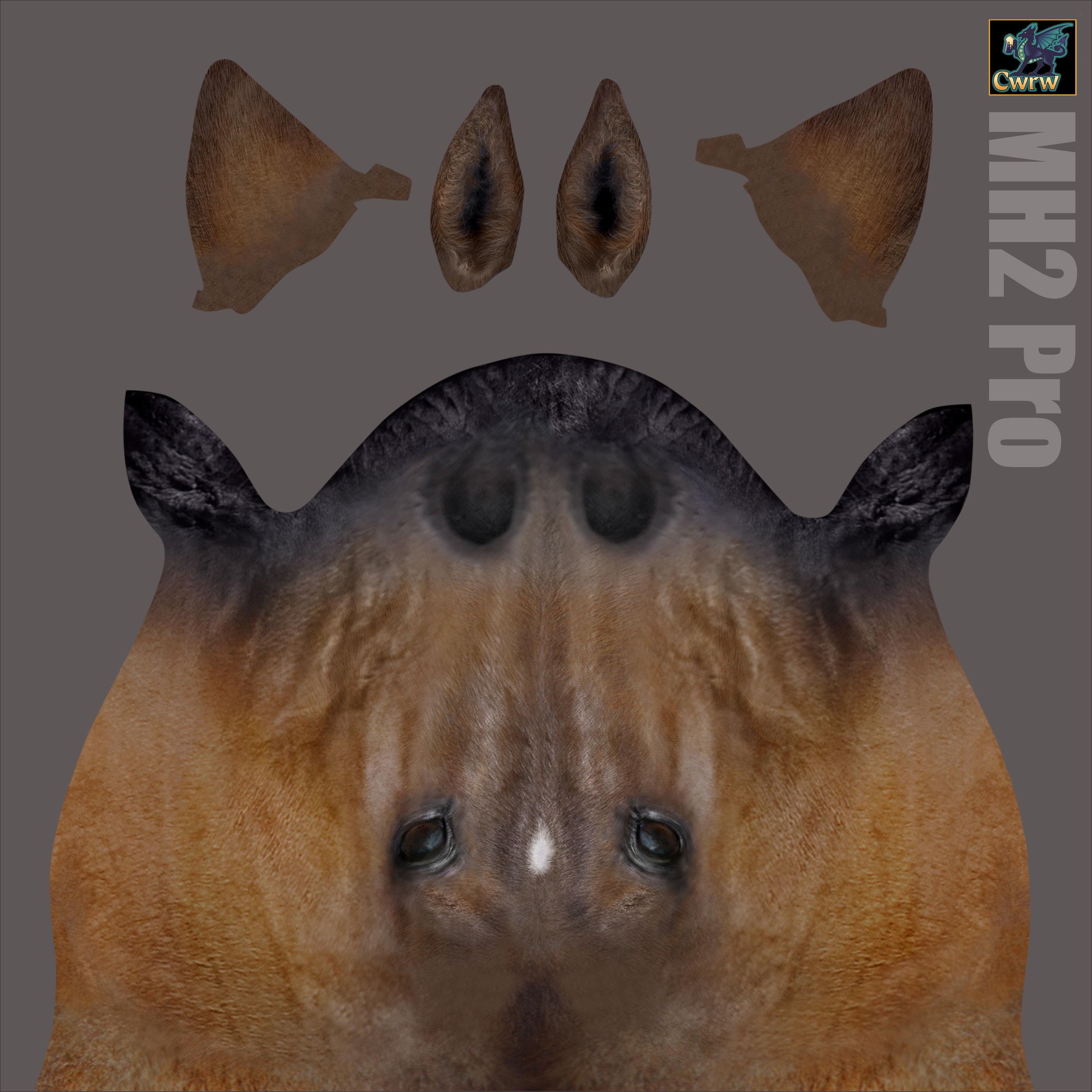 Realistic Rigged Horse  3D model_6