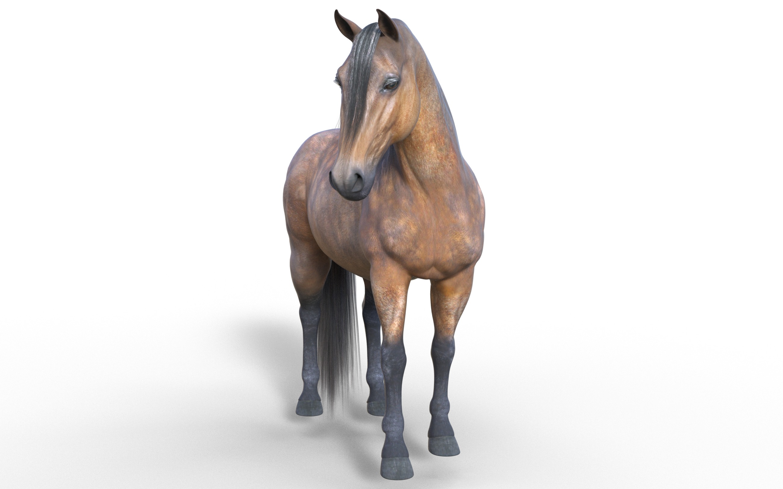 Realistic Rigged Horse  3D model_2