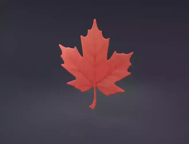 Maple Leaf Canadian Symbol
