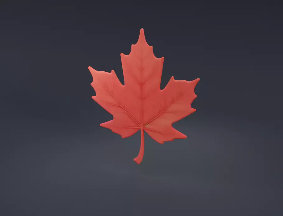 Maple Leaf Canadian Symbol Low-poly 3D model_0