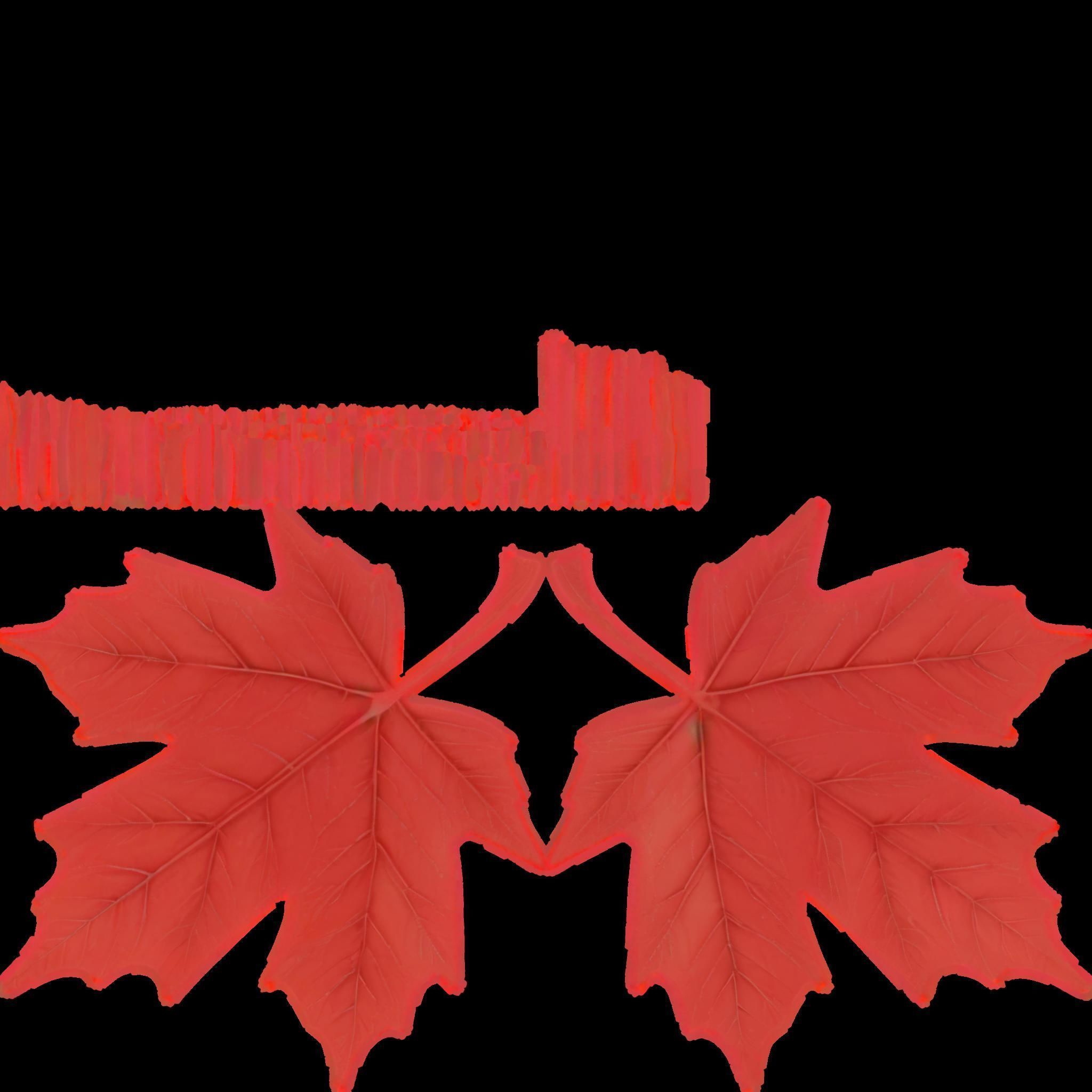 Maple Leaf Canadian Symbol Low-poly 3D model_2