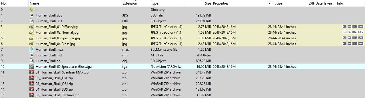 Human Skull Low-poly 3D model_19
