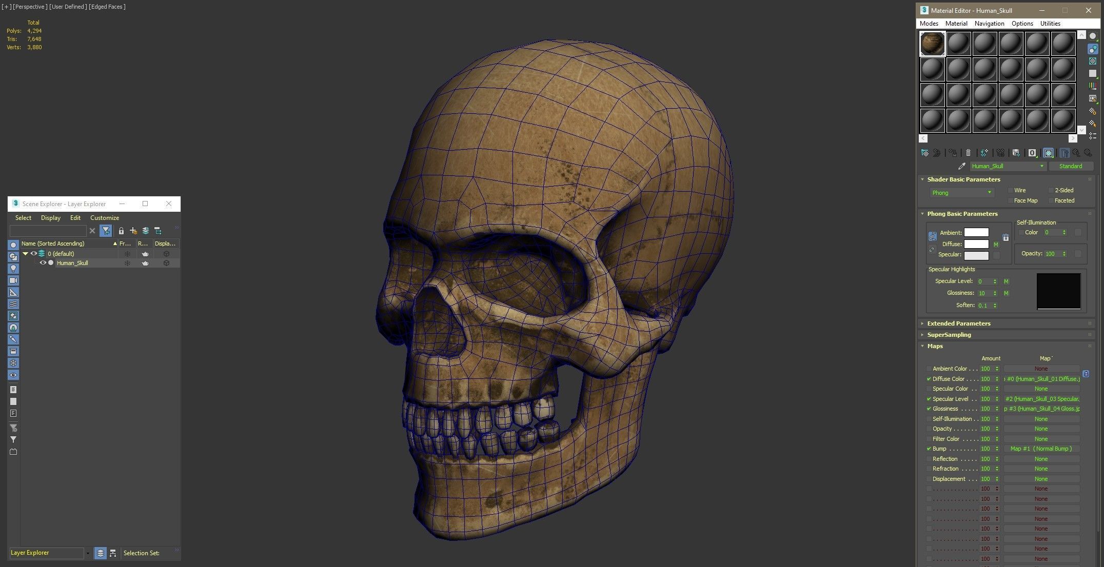 Human Skull Low-poly 3D model_21