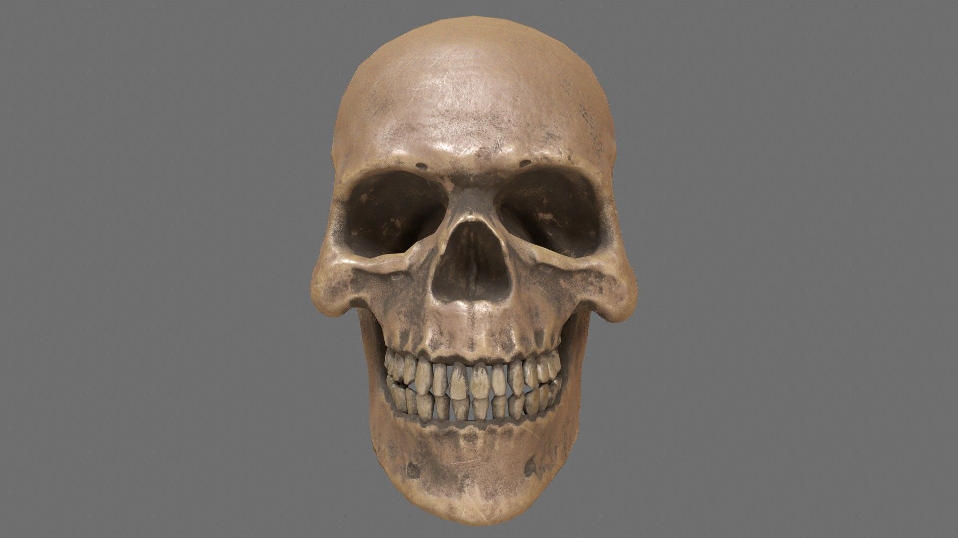 Human Skull Low-poly 3D model_9