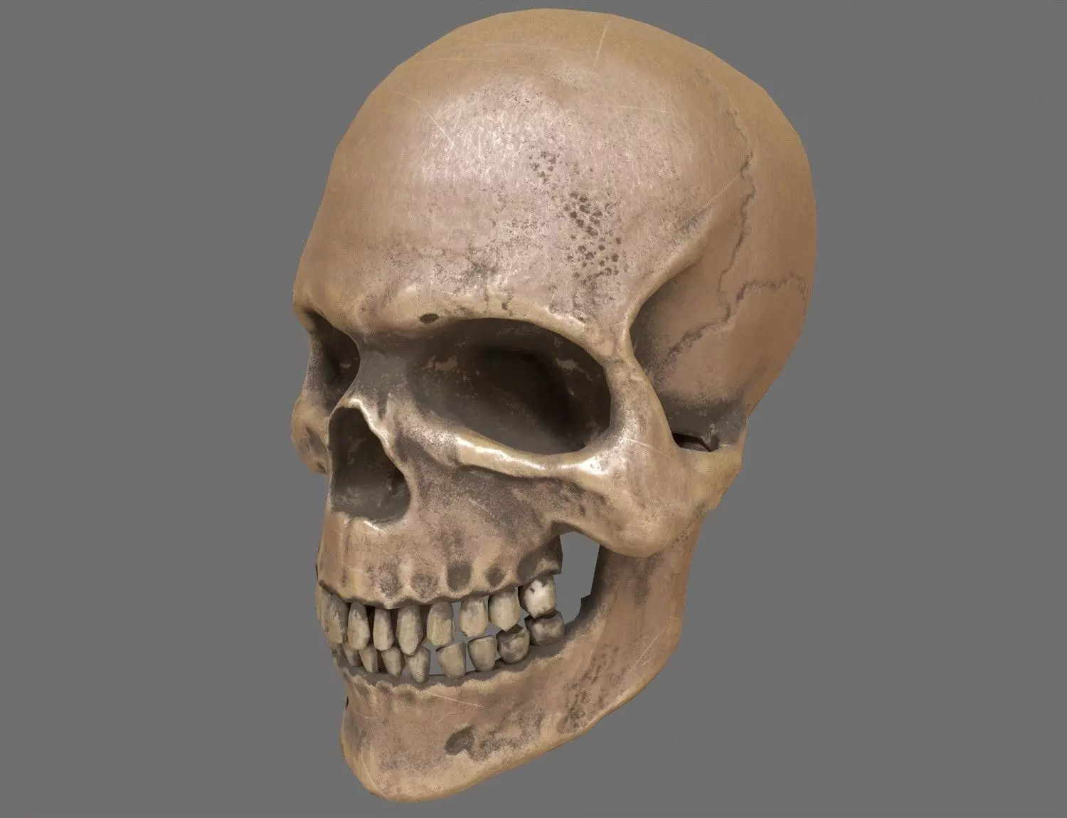 Human Skull Low-poly 3D model_0