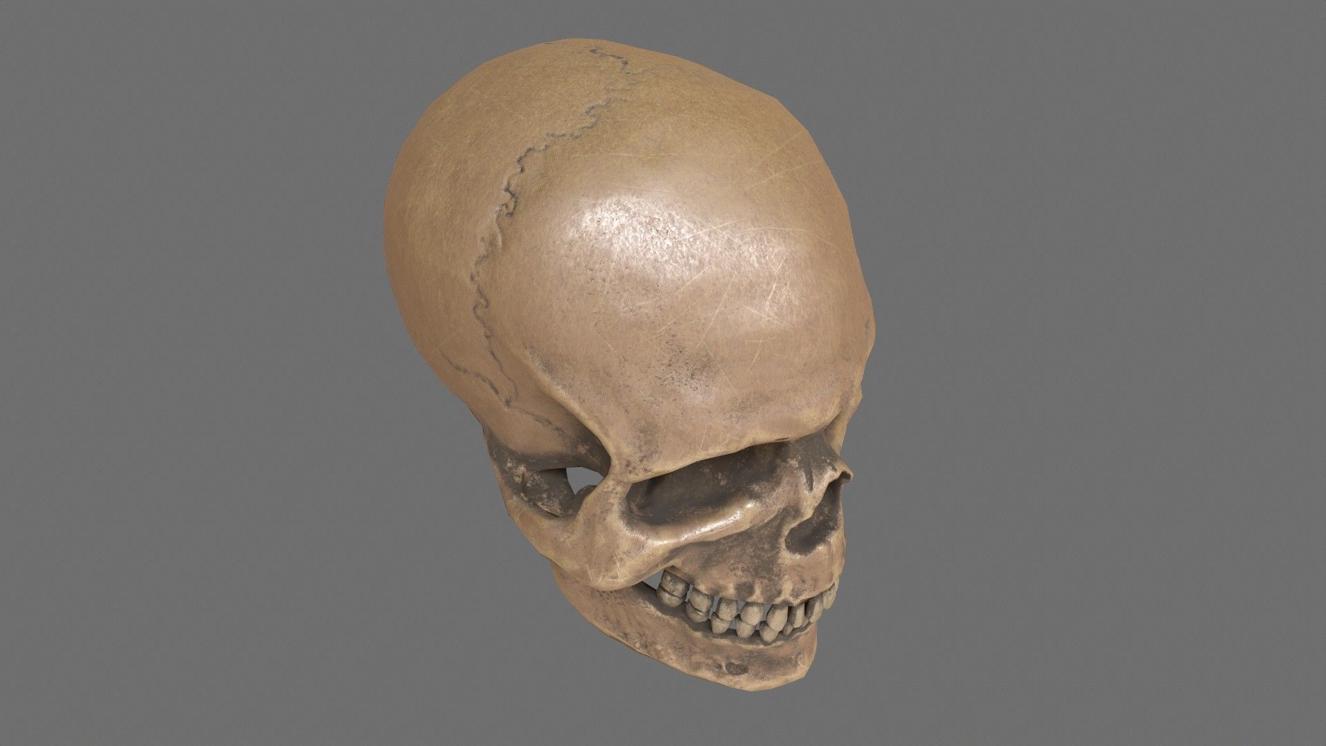 Human Skull Low-poly 3D model_2