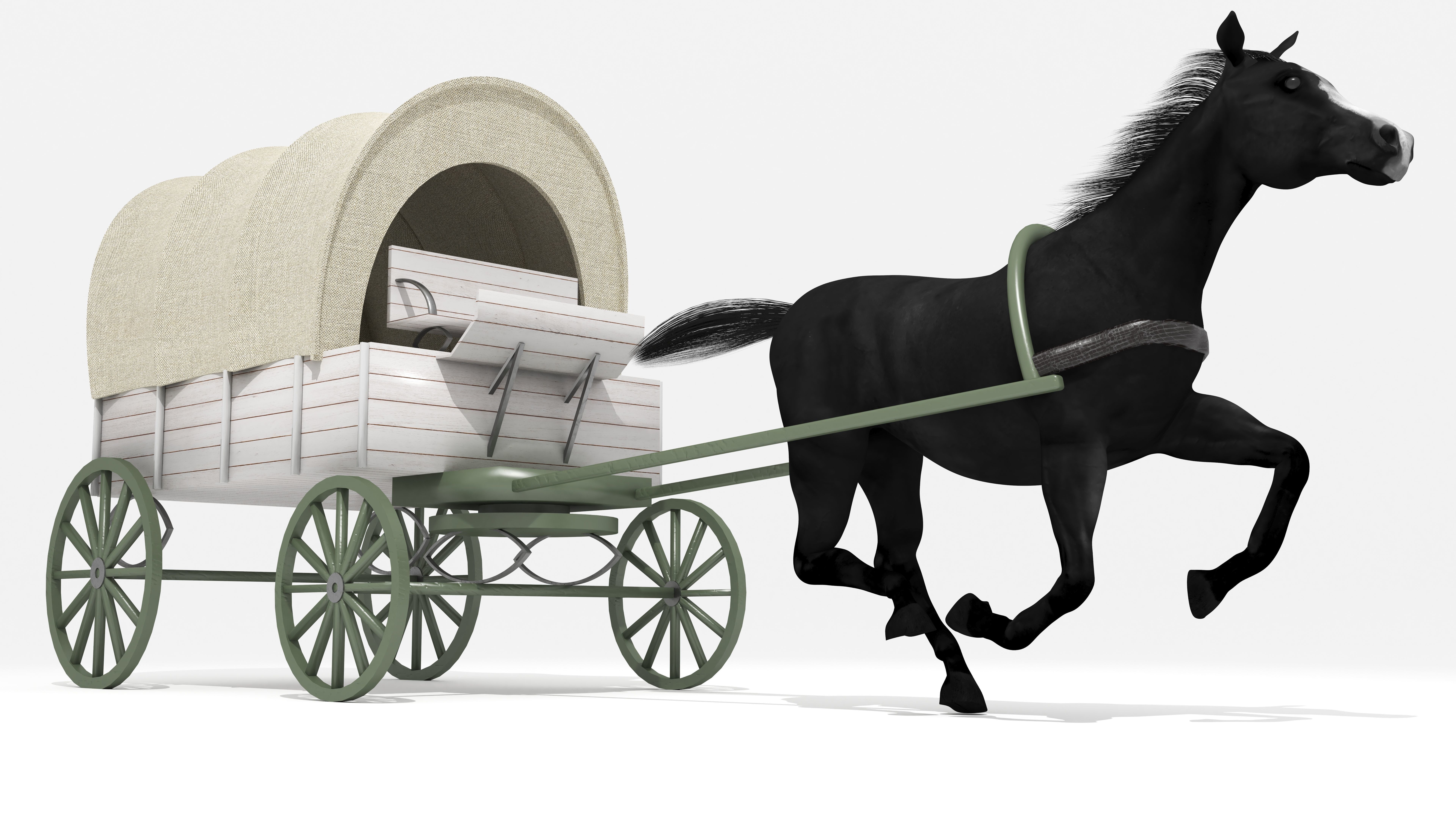 Western Wagon 5 3D model_1