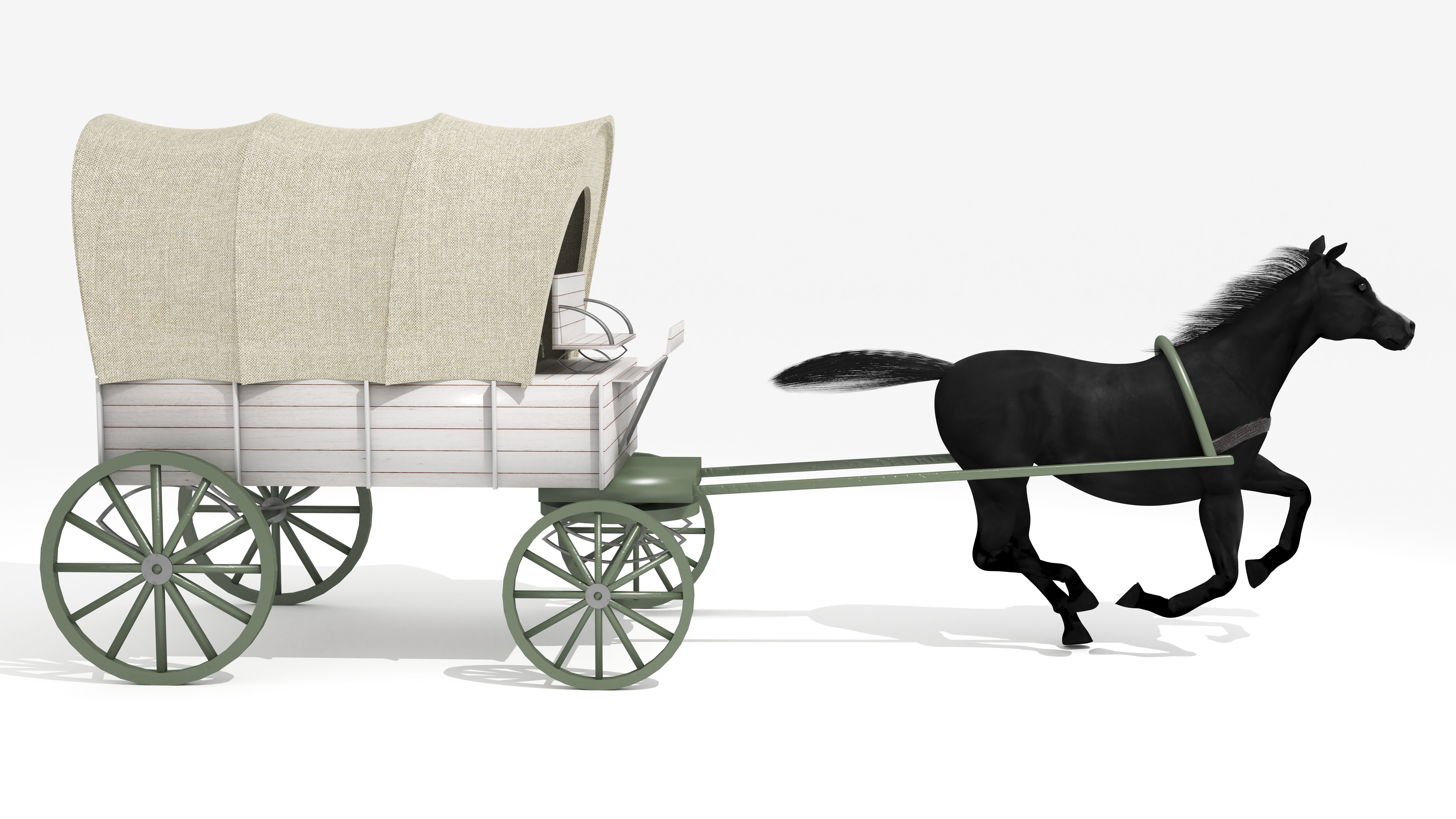 Western Wagon 5 3D model_6