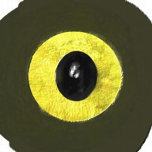 Animated Rigged Eagle 3D model_6