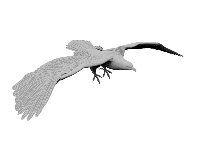 Animated Rigged Eagle 3D model_9