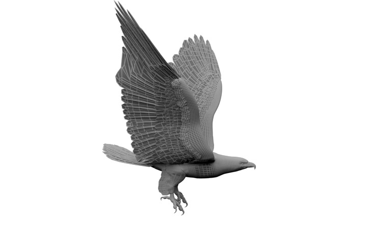 Animated Rigged Eagle 3D model_10