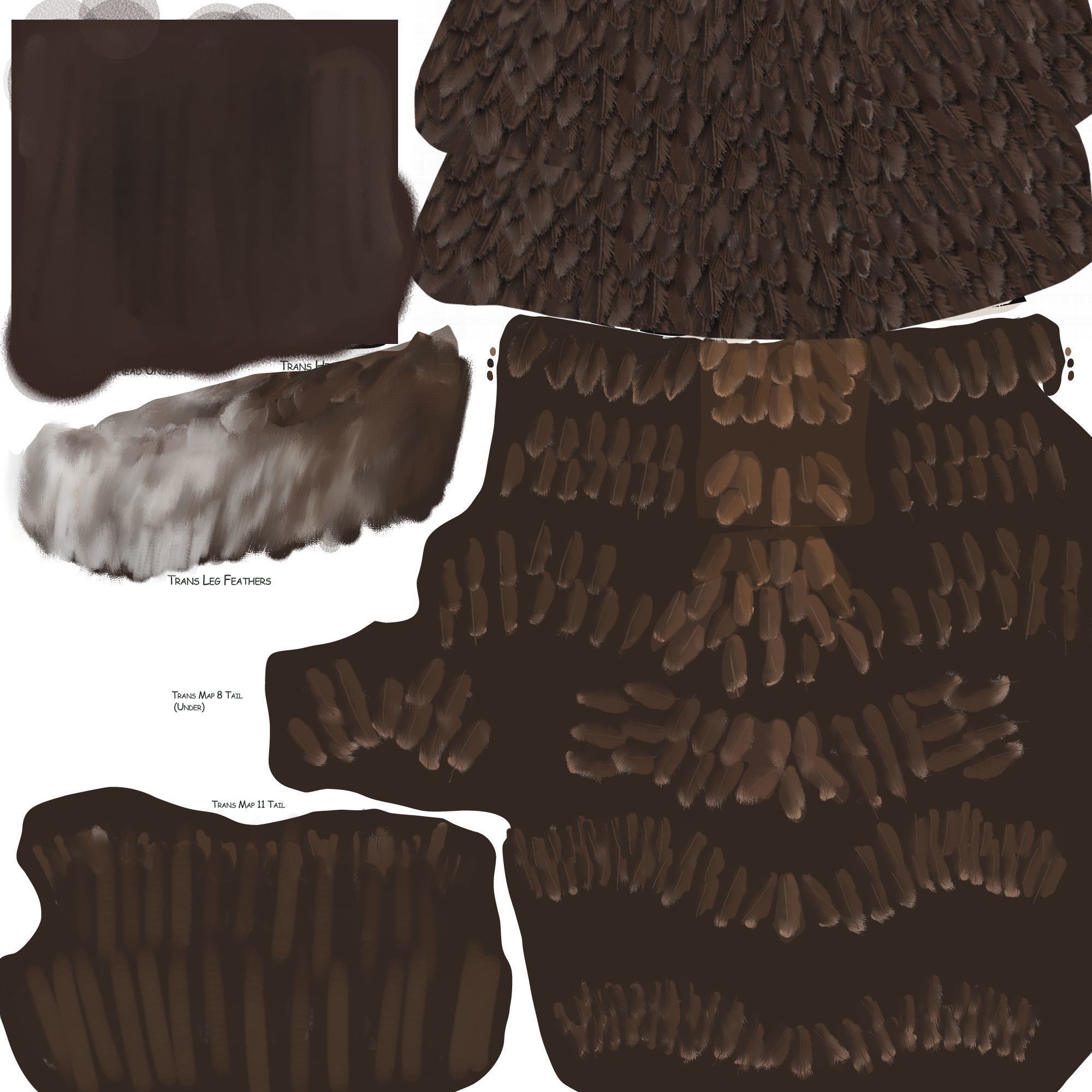 Animated Rigged Eagle 3D model_8