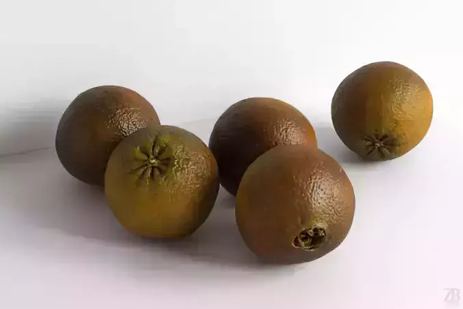 Orange 3D model