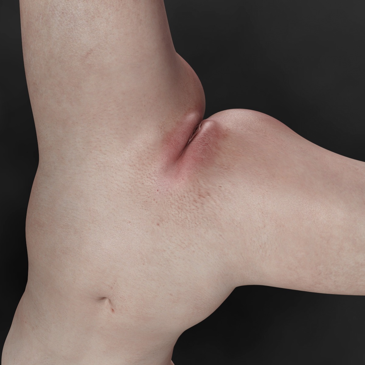 Vera V4 High Quality Textures for G8 Female 3D model_9