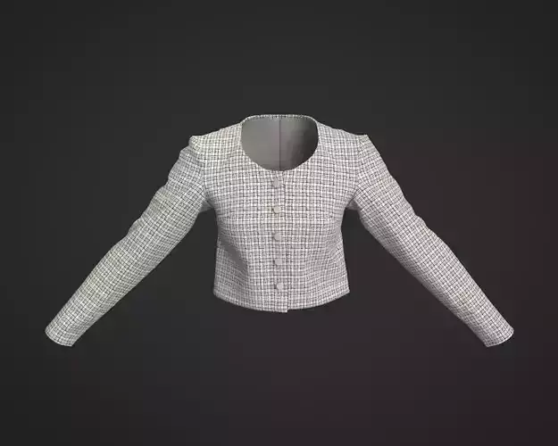 Stylish Designer Women Tweed Crop Jacket CLO  3D model
