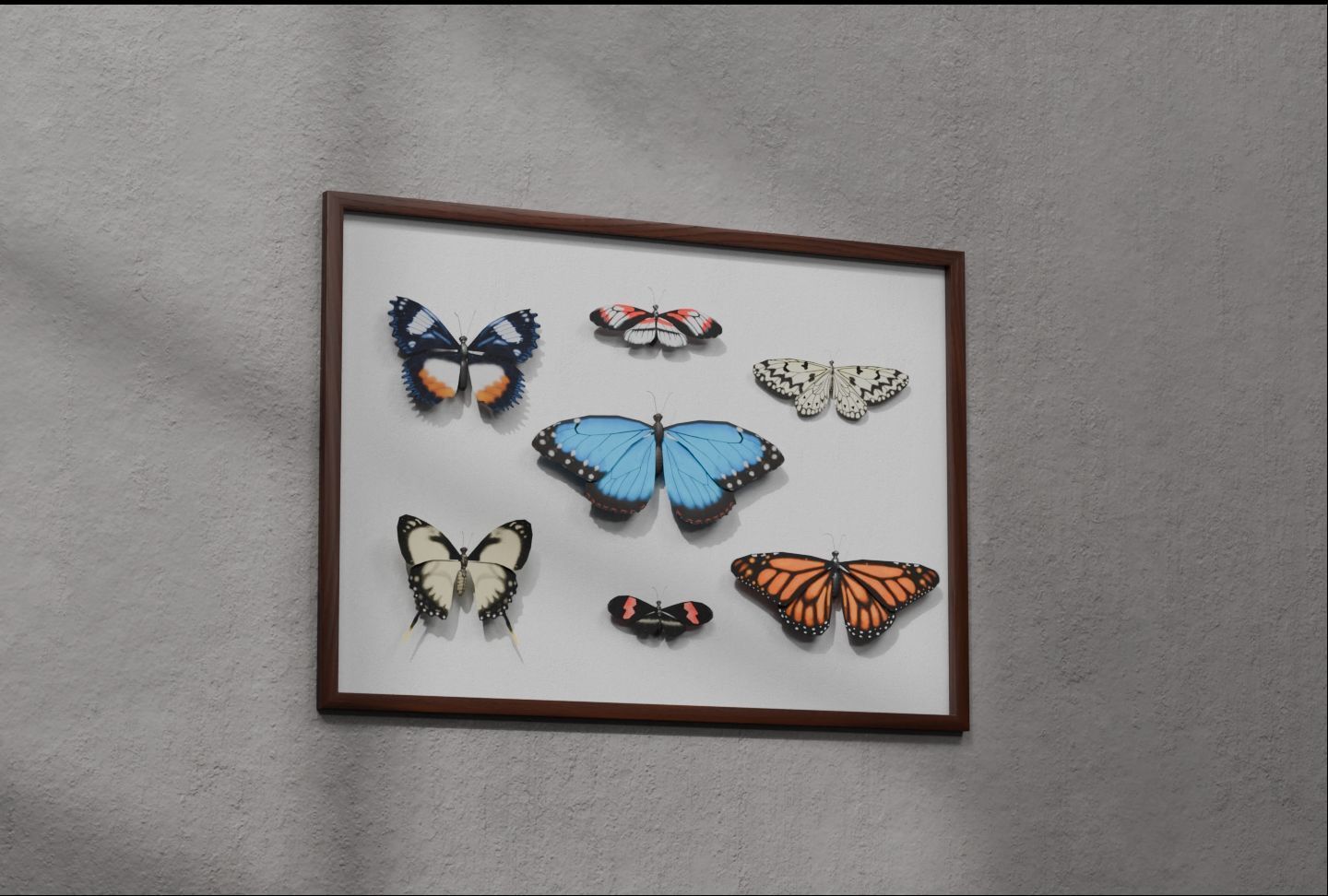 Butterflies in frame 3D model_2