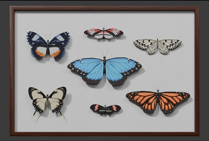 Butterflies in frame 3D model