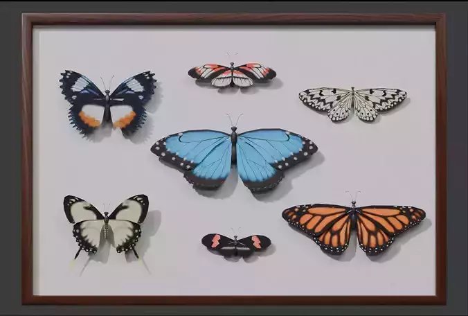 Butterflies in frame