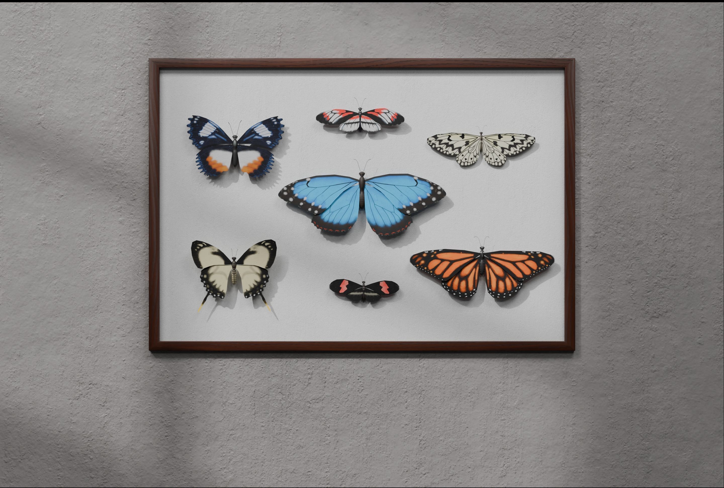 Butterflies in frame 3D model_1