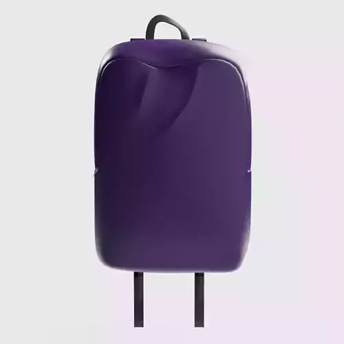 Soft Simple Stylized Carrying Touring Backpack