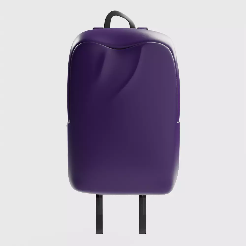 Soft Simple Stylized Carrying Touring Backpack 3D model_0