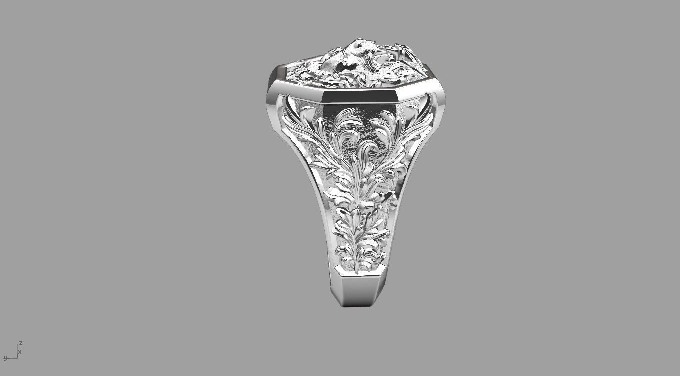 ringgg 3D print model_1
