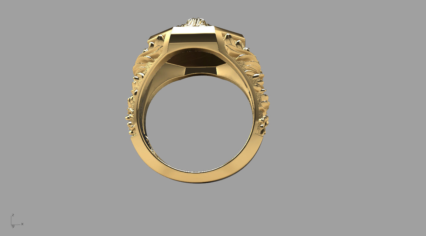 ringgg 3D print model_11