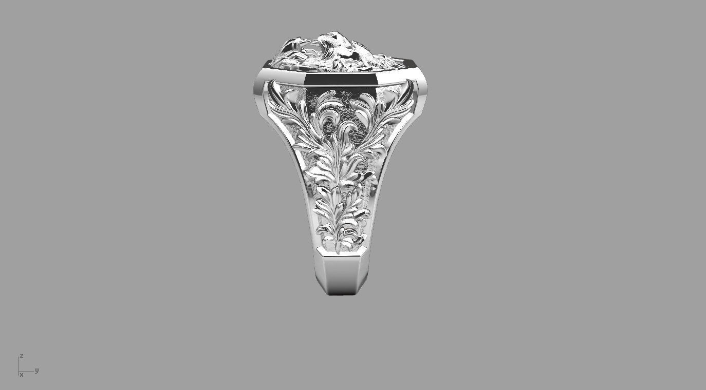 ringgg 3D print model_7