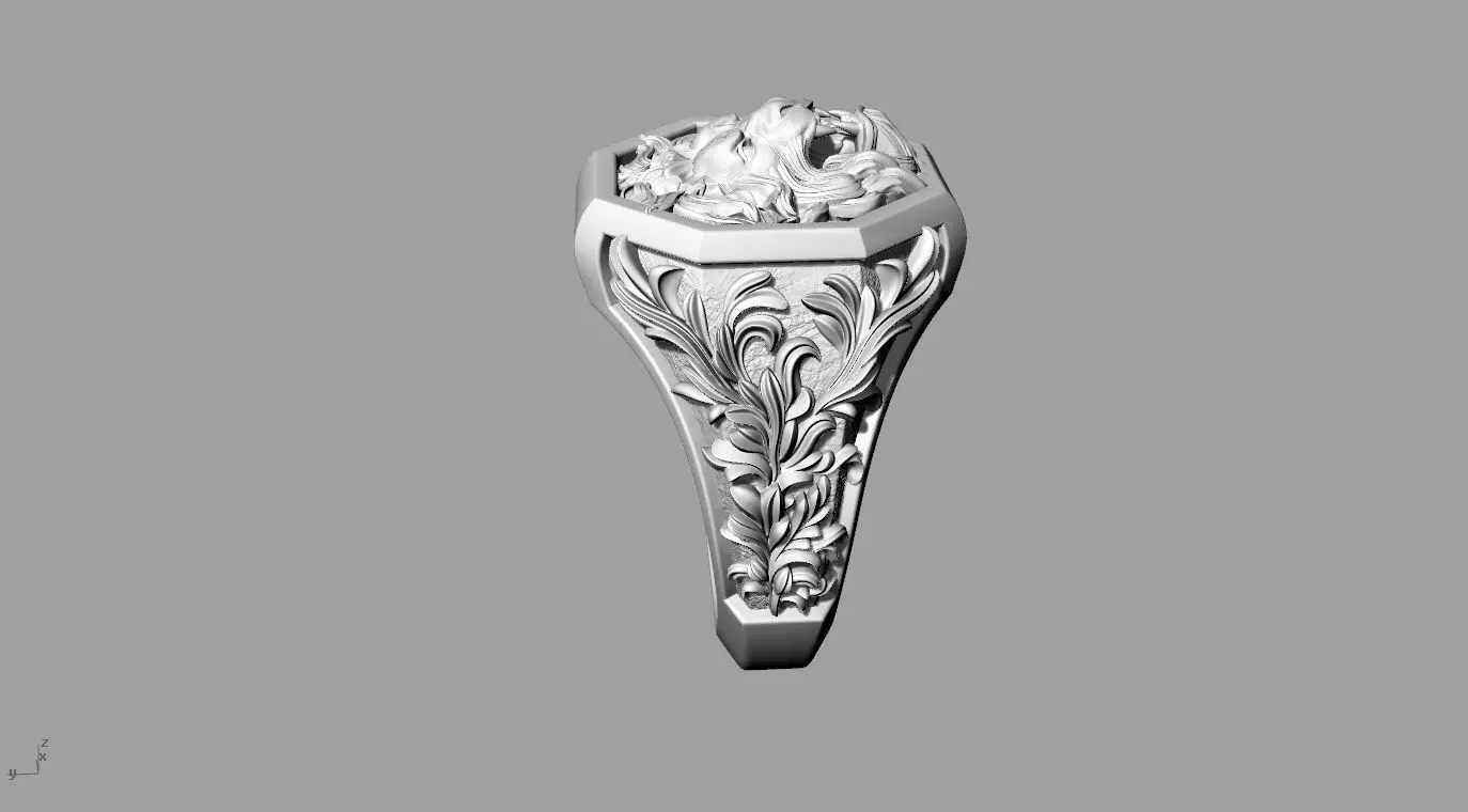 ringgg 3D print model_0