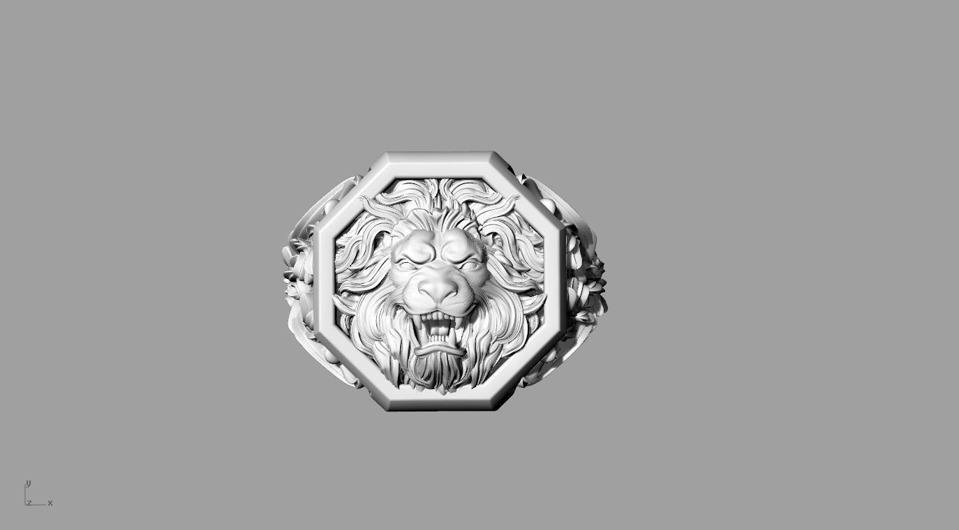 ringgg 3D print model_2