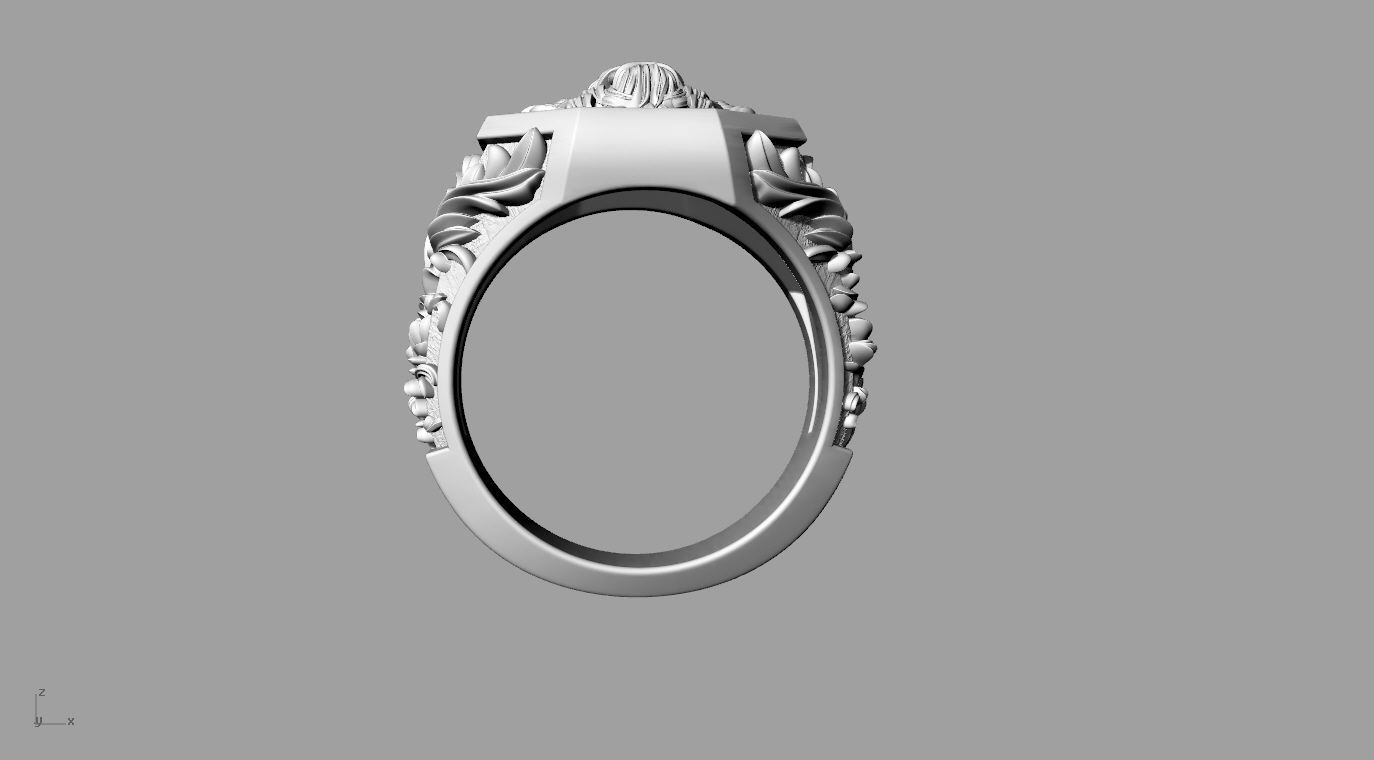 ringgg 3D print model_5