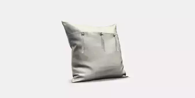 AINA Cushion cover 2
