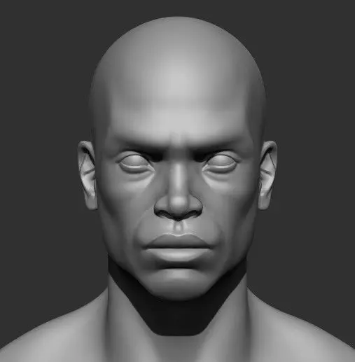 High-Quality Male Bust Sculpture Free 3D model