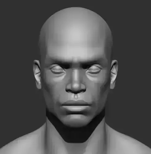 High-Quality Male Bust Sculpture Free 3D model