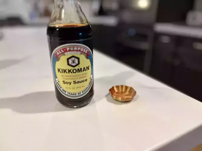Soy Sauce Containers 3D print model