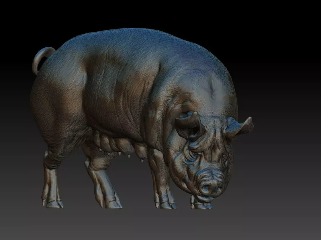 Pig eats 3D print model_0