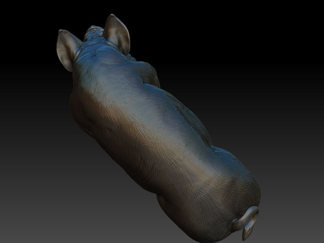 Pig eats 3D print model_4