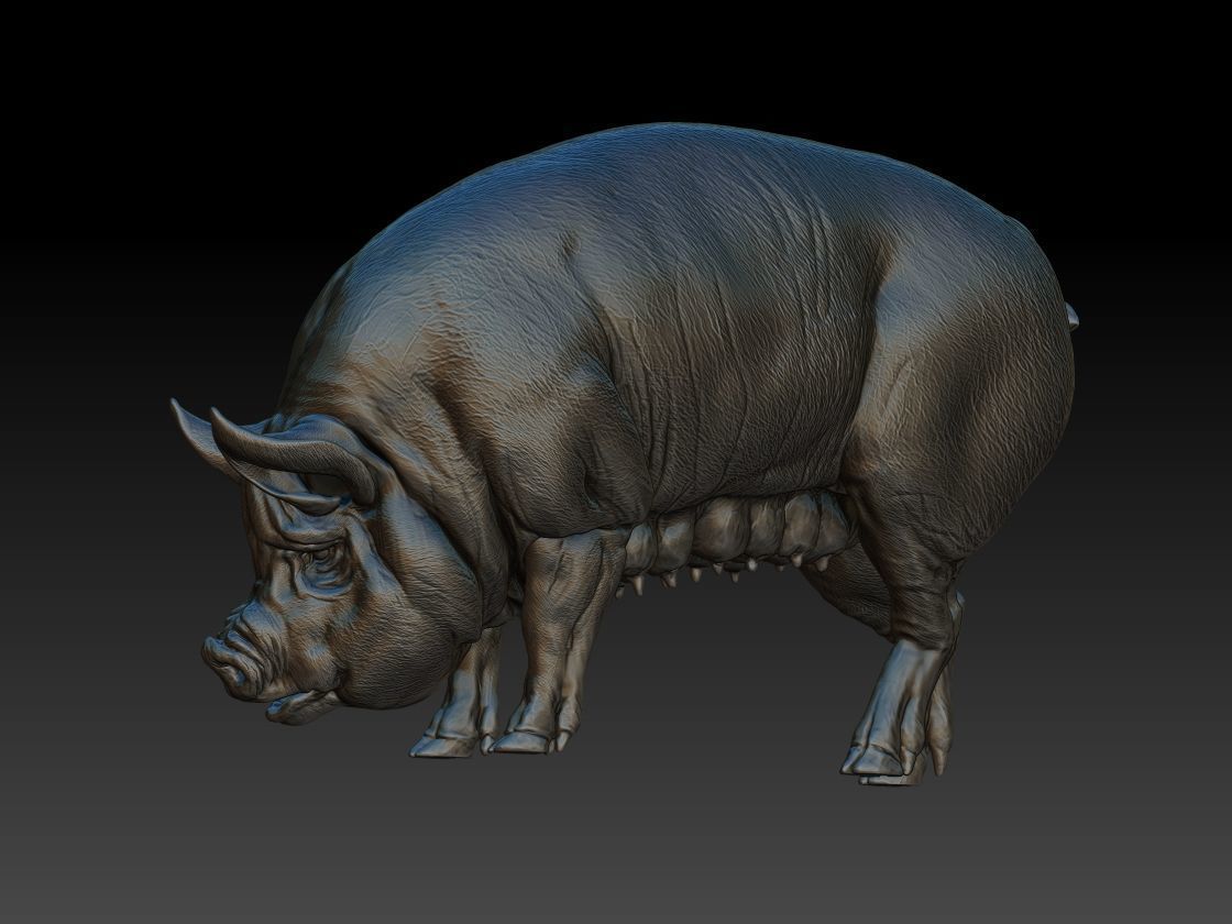 Pig eats 3D print model_2