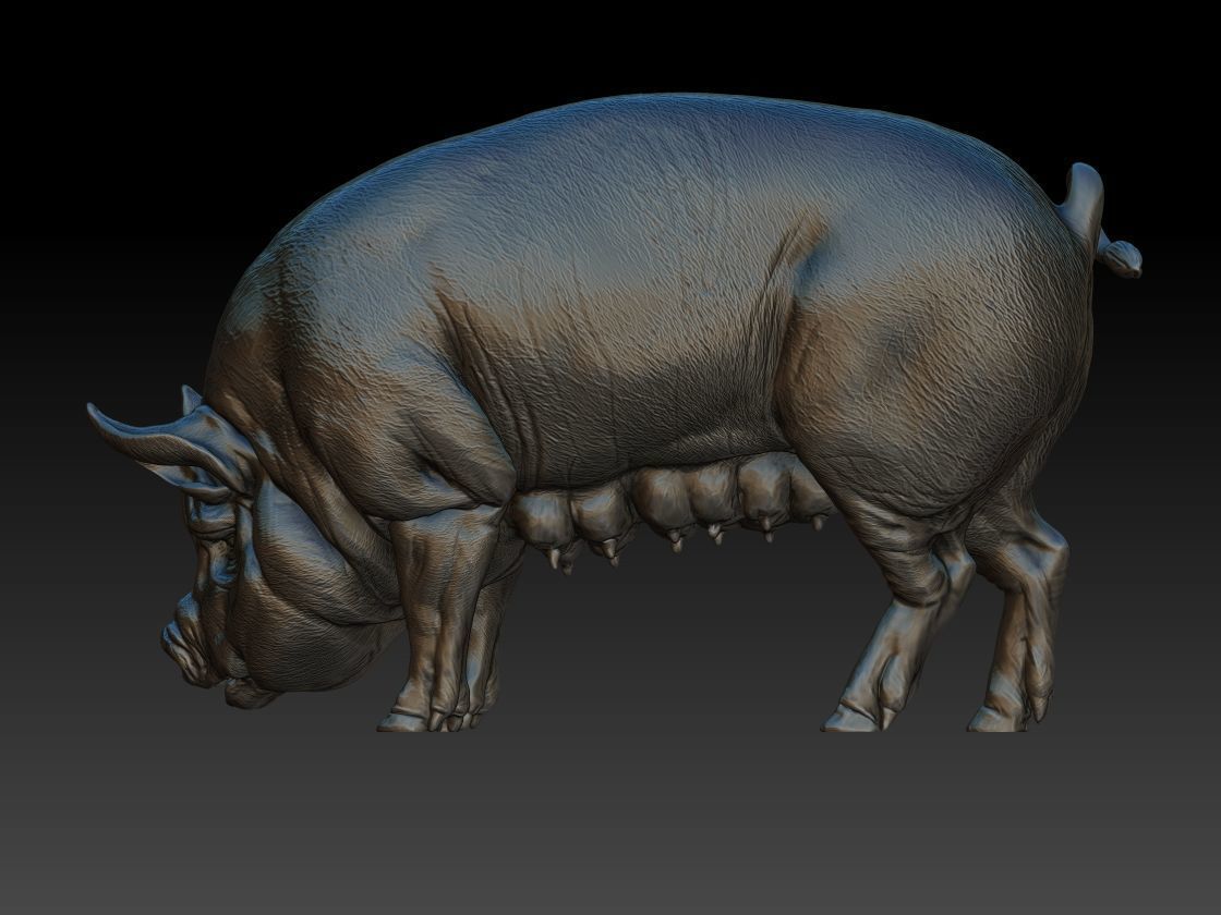 Pig eats 3D print model_3