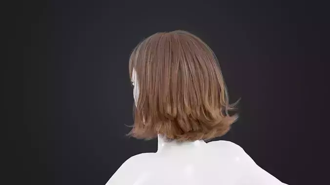 Realistic Female Hair