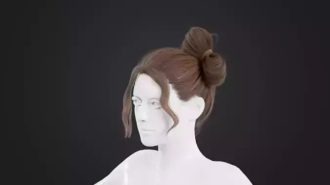 Realistic Female Hair